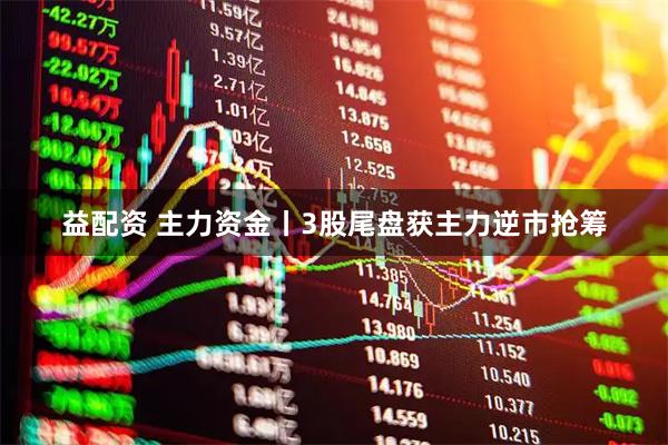 益配资 主力资金丨3股尾盘获主力逆市抢筹